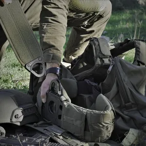 חגורת אגן - מרעום דולפין